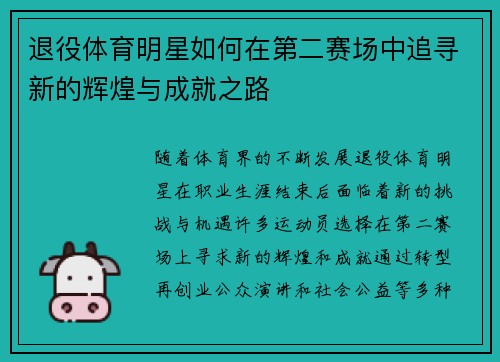 退役体育明星如何在第二赛场中追寻新的辉煌与成就之路